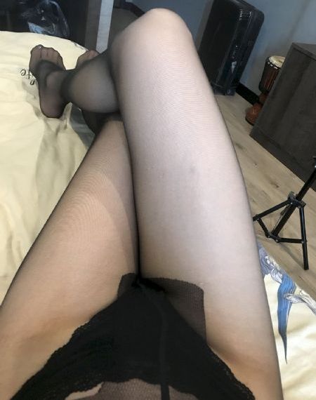 骆驼蜘蛛