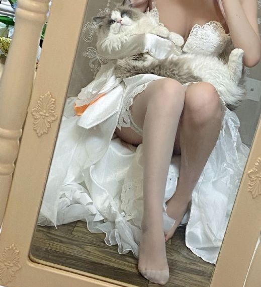 最后的放映