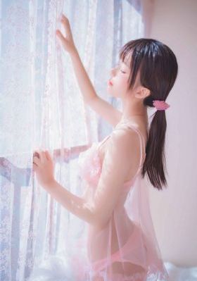 岁岁年年柿柿红