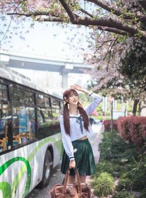 木香的功效与作用