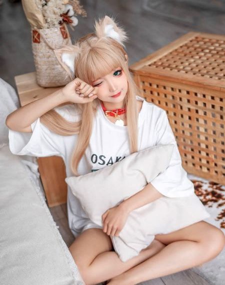 雍正小蝶年羹尧