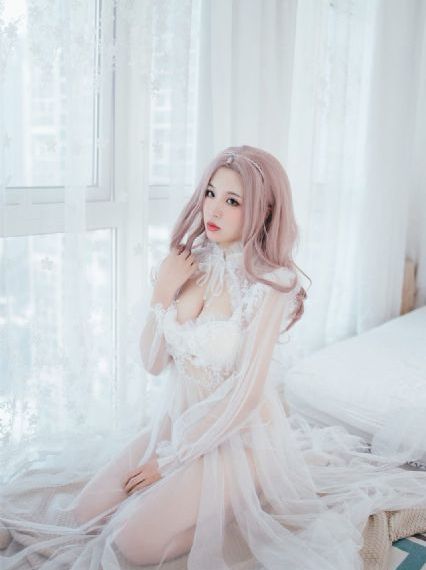 巡回检察组