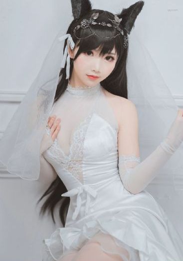 伙伴夫妻
