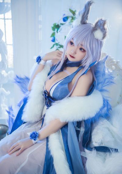 识骨寻踪[第十一季]