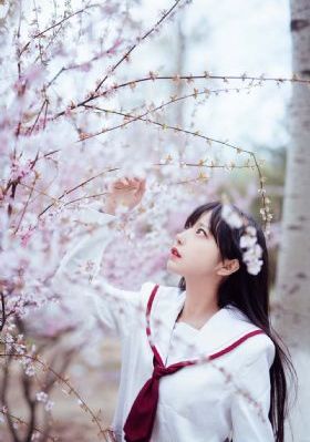 弗兰兹